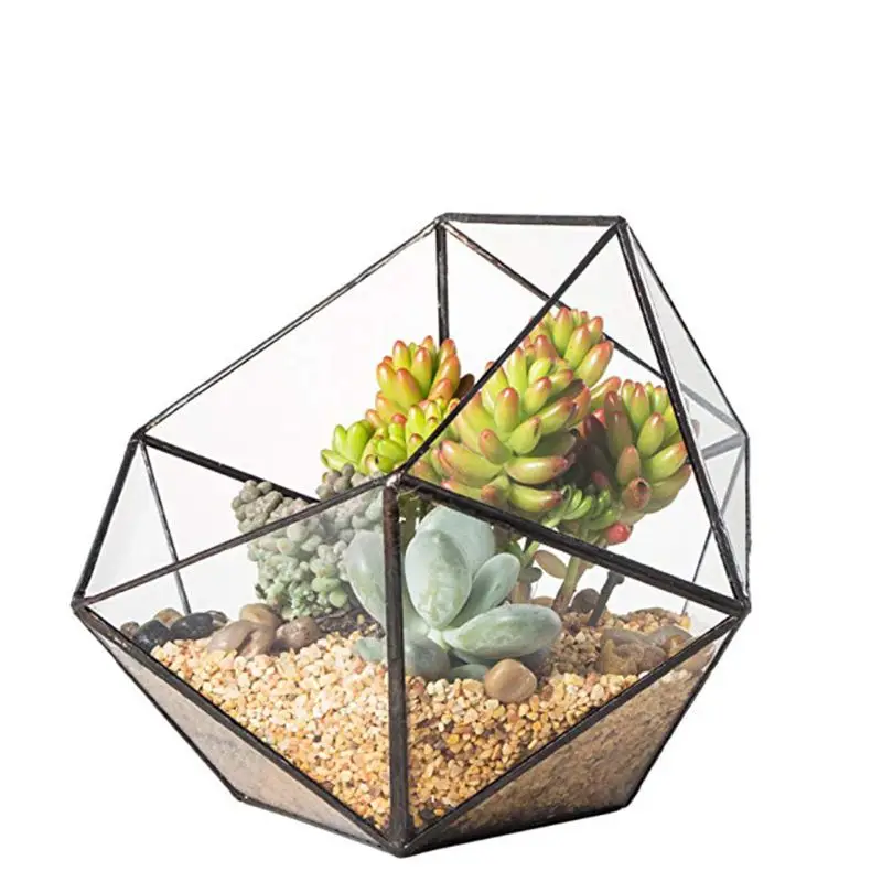 Glass Terrarium Storage Box Jewelry Holder,Glass Geometric Terrarium Tabletop Succulent Plant Box Planter Holder Case
Glass Terrarium Storage Box Jewelry Holder,Glass Geometric Terrarium Tabletop Succulent Plant Box Planter Holder Case