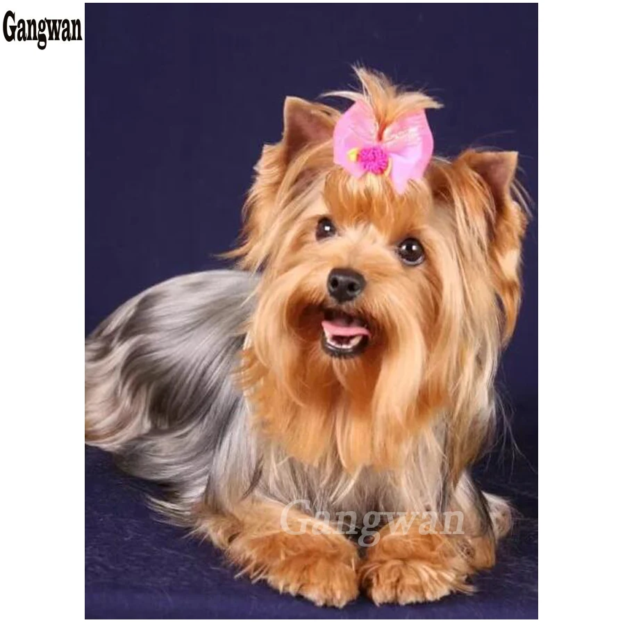 Diamond painting rhinestones Embroidery Dog Diamond Paint Dog Full drill Square Picture Rhinestone Yorkshire Terrier Mosaic Kit
Diamond painting rhinestones Embroidery Dog Diamond Paint Dog Full drill Square Picture Rhinestone Yorkshire Terrier Mosaic Kit