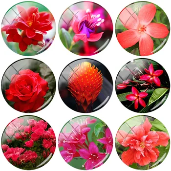 TAFREE Red Flowers 12mm/15mm/16mm/18mm/20mm/25 mm Photo Glass Cabochon Dome Flat Back DIY Jewelry Findings Making FL301
TAFREE Red Flowers 12mm/15mm/16mm/18mm/20mm/25 mm Photo Glass Cabochon Dome Flat Back DIY Jewelry Findings Making FL301