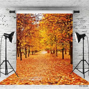 Autumn Path Maple Tree Woods Fallen Leaves Road Scenery Backdrops Baby Newborn Portrait Photography Backgrounds For Photo Studio
Autumn Path Maple Tree Woods Fallen Leaves Road Scenery Backdrops Baby Newborn Portrait Photography Backgrounds For Photo Studio