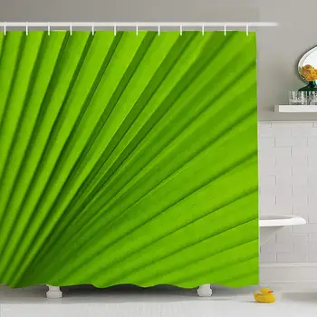 Shower Curtain Set with Hooks 66x72 Green Palm Growth Effect As Tree Life Leaf Nature Descriptive Textures Closeup Asia Tropical
Shower Curtain Set with Hooks 66x72 Green Palm Growth Effect As Tree Life Leaf Nature Descriptive Textures Closeup Asia Tropical
