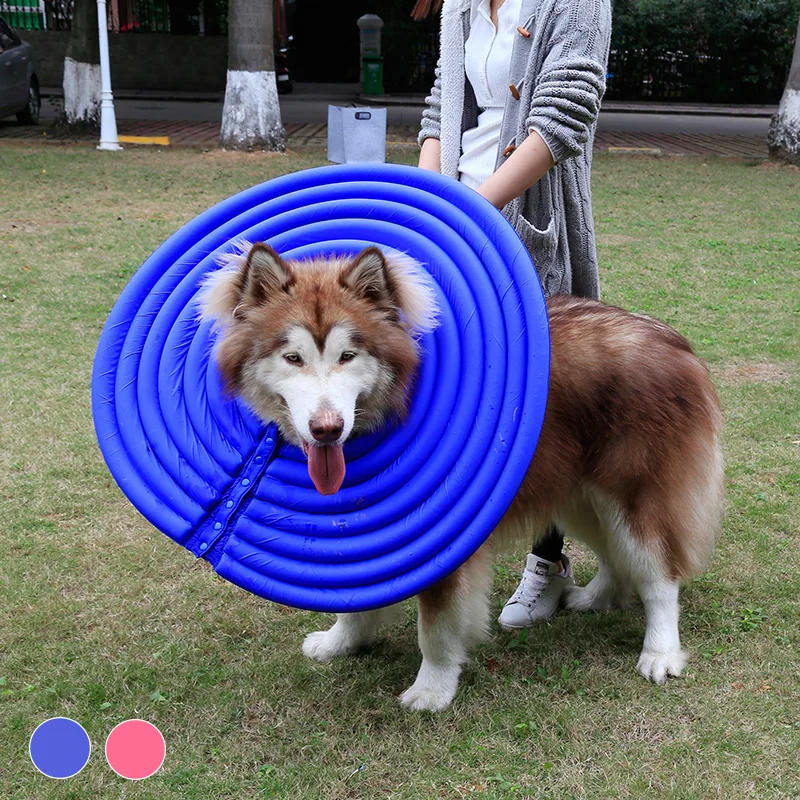 Hoopet Pet Dog Elizabeth Circle Collar Protection Collar for Dogs Neck Fixed Products for Dog
Hoopet Pet Dog Elizabeth Circle Collar Protection Collar for Dogs Neck Fixed Products for Dog