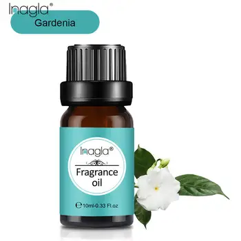 Inagla Gardenia Fragrance Essential Oils 10ml Pure Plant Fruit Oil For Aromatic Aromatherapy Diffusers Pina Colada Forrester Oil
Inagla Gardenia Fragrance Essential Oils 10ml Pure Plant Fruit Oil For Aromatic Aromatherapy Diffusers Pina Colada Forrester Oil