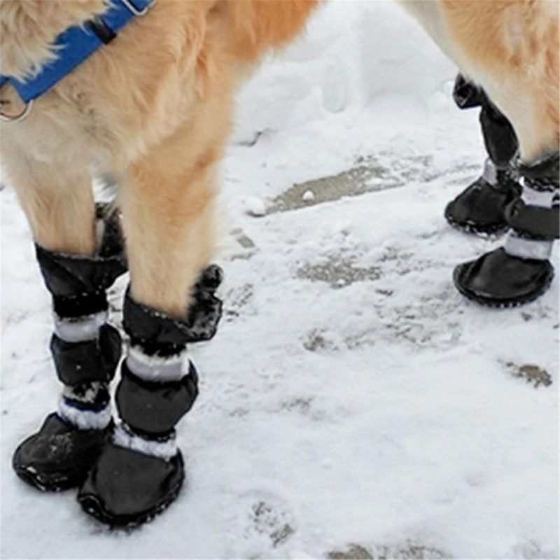 4Pcs/Set Dog Boots Waterproof Shoes for Pets with Reflective Strips Rugged Anti-Slip Sole for Medium Large 5 Sizes
4Pcs/Set Dog Boots Waterproof Shoes for Pets with Reflective Strips Rugged Anti-Slip Sole for Medium Large 5 Sizes