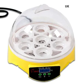 7 Eggs Capacity Chicken Eggs Bird Incubator Egg Rack Tray Automatic Intelligent Control Quail Parrot Incubation Tool
7 Eggs Capacity Chicken Eggs Bird Incubator Egg Rack Tray Automatic Intelligent Control Quail Parrot Incubation Tool