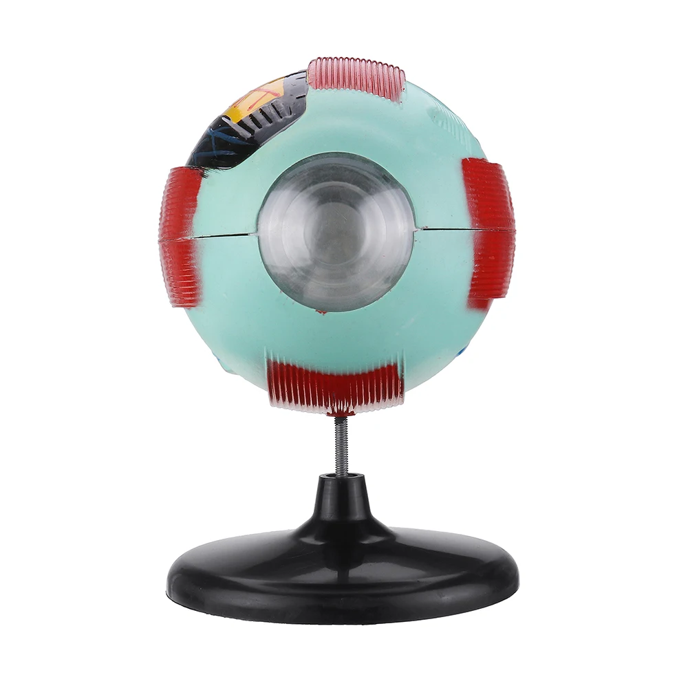 Removable Human Eye Eyeball Model Eyeball Internal Structure Learn Human Anatomical Model Lab Teaching Education
Removable Human Eye Eyeball Model Eyeball Internal Structure Learn Human Anatomical Model Lab Teaching Education