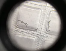 ETA 2824 2836 2834 beweging accessoires clutch bar 2824-435(China)