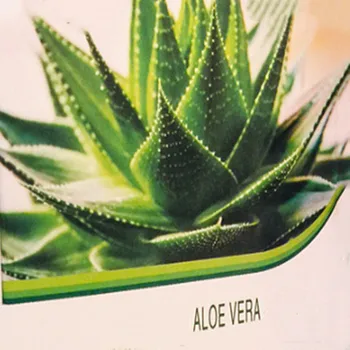 Aloe Vera Extract 60pcs Laxative Relieve Constipation Wrinkle Removal Moisturizing
Aloe Vera Extract 60pcs Laxative Relieve Constipation Wrinkle Removal Moisturizing