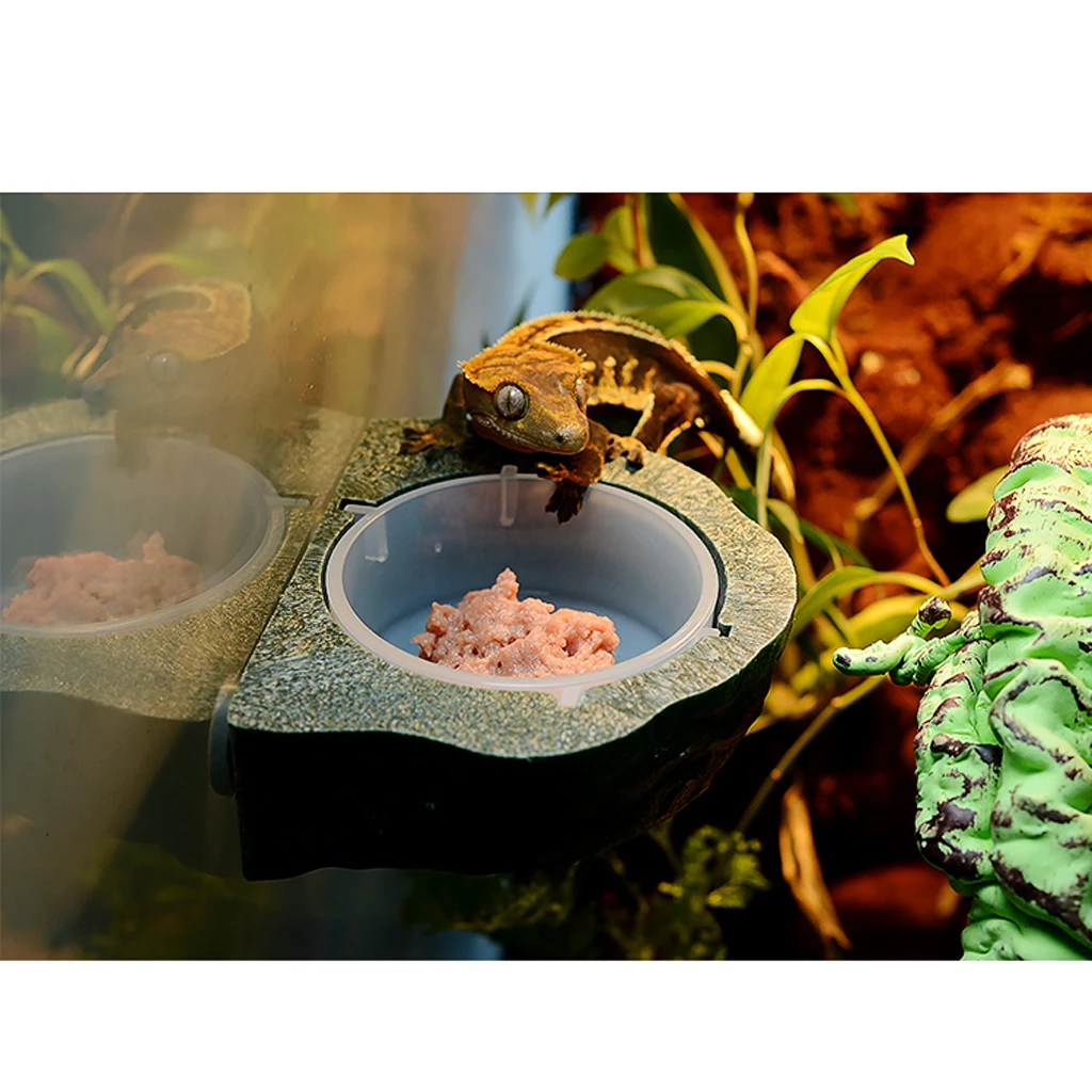 Reptile Feeding Dish Food Water Bowl Cup Feeder Bowl Cup Basin Tray Container for Small Pets Reptile Feeding Dish Food Water Bowl Cup Feeder Bowl Cup Basin Tray Container for Small Pets