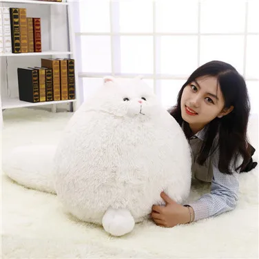 Hot Selling Wholesale Long Tail Model Persian Cat Plush Toy Doll-Processing Customizable Logo Recruit Agents
Hot Selling Wholesale Long Tail Model Persian Cat Plush Toy Doll-Processing Customizable Logo Recruit Agents