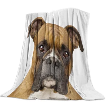 Animal Brown Dog Canine Mammal Spring and Autumn Soft Flannel Blanket Office Siesta Blanket Sofa Bed Blanket
Animal Brown Dog Canine Mammal Spring and Autumn Soft Flannel Blanket Office Siesta Blanket Sofa Bed Blanket