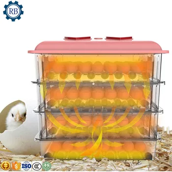 automatic quail eggs incubator machine chicken eggs hatcher machine duck incubate machine for farm use
automatic quail eggs incubator machine chicken eggs hatcher machine duck incubate machine for farm use