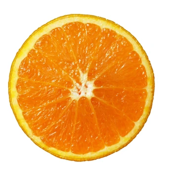 Round Fruits Mat Flannel Carpet for Bedroom/Living Room/Dining Room/Kitchen Watermelon Orange Lemon Area Rug
Round Fruits Mat Flannel Carpet for Bedroom/Living Room/Dining Room/Kitchen Watermelon Orange Lemon Area Rug