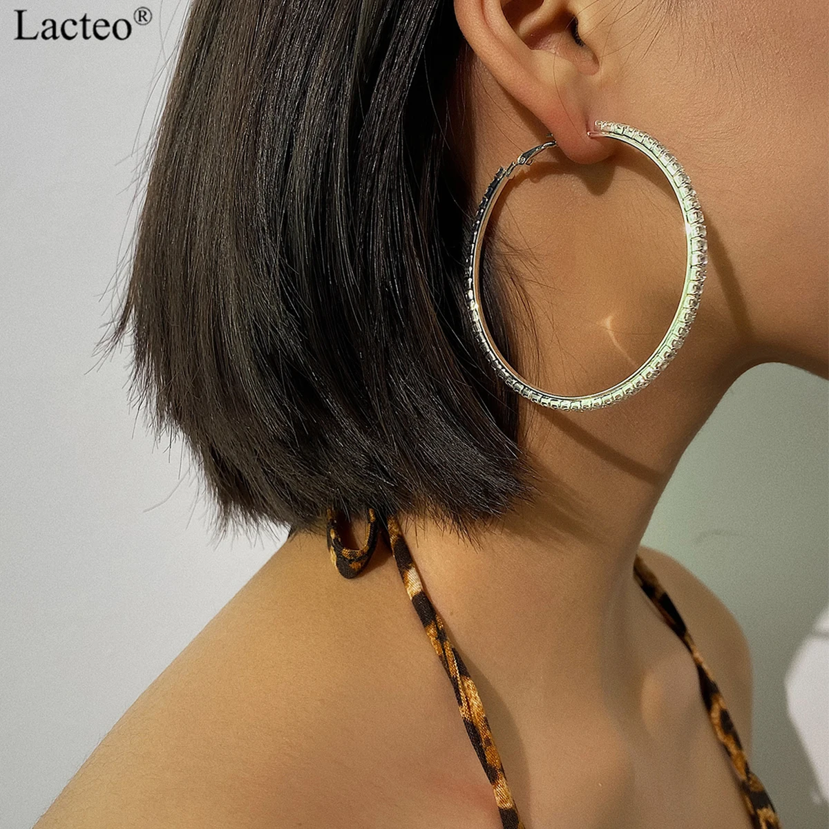 Lacteo Vintage Shiny Rhinestone Hoop Earrings for Women Sexy Crystal Round Circle Hoop Earrings Female Nightclub Jewelry Earring
Lacteo Vintage Shiny Rhinestone Hoop Earrings for Women Sexy Crystal Round Circle Hoop Earrings Female Nightclub Jewelry Earring