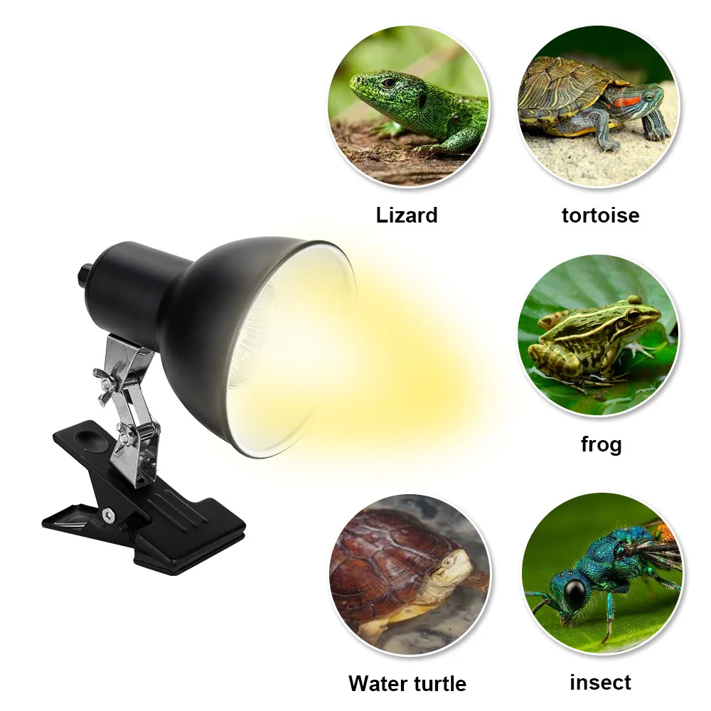 Multi-Angle Adjusted Freely Amphibians Lighting For Reptiles Turtles Lizards Temperature Crawling Pet Heating Lamp 25/50/75W
Multi-Angle Adjusted Freely Amphibians Lighting For Reptiles Turtles Lizards Temperature Crawling Pet Heating Lamp 25/50/75W