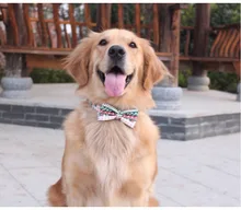 Productos para mascotas collares para perros collares ajustables para mascotas para perros pequeños medianos grandes Pitbull bulldog Beagle Correa Perro(China)