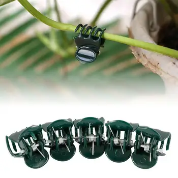 Grafting Clip Garden Clip Phalaenopsis Special Clip Clip Plant Vine Clip Vegetable Tied Clip Pack Vine 100 Fruit E5S2
Grafting Clip Garden Clip Phalaenopsis Special Clip Clip Plant Vine Clip Vegetable Tied Clip Pack Vine 100 Fruit E5S2