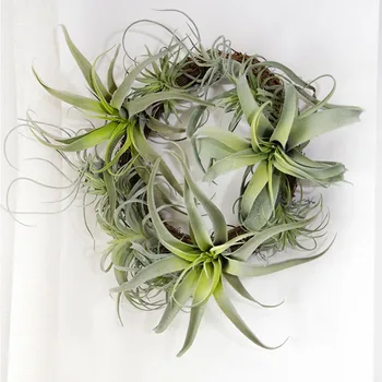 Simulation Succulent Plants Pineapple Green Grass Hanging Vine Home Decoration Fake Flower Pot Wholesale cc09
Simulation Succulent Plants Pineapple Green Grass Hanging Vine Home Decoration Fake Flower Pot Wholesale cc09