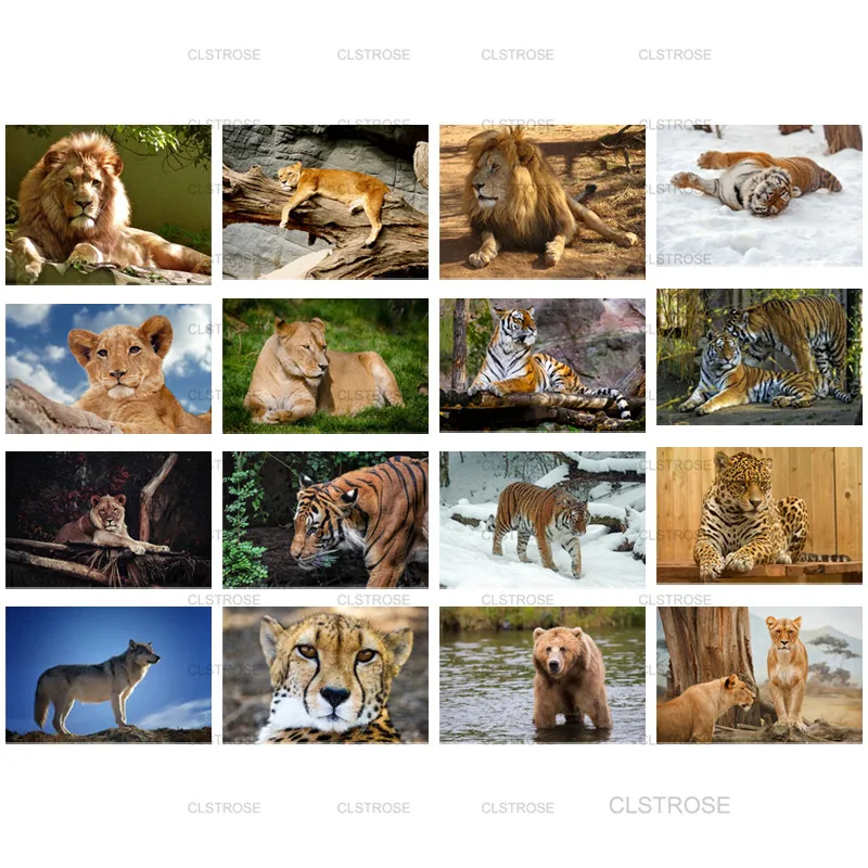 Modern Diy Animal Diamond Painting Tiger Rolling In The Snow Home Decoration Square Round Diamond Modern Home Living Room
Modern Diy Animal Diamond Painting Tiger Rolling In The Snow Home Decoration Square Round Diamond Modern Home Living Room