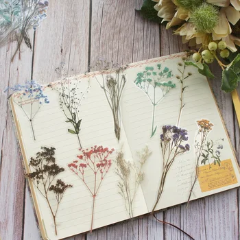18pcs Dried Flower Specimens Style PE Sticker Scrapbooking DIY Gift Packing Label Decoration Tag
18pcs Dried Flower Specimens Style PE Sticker Scrapbooking DIY Gift Packing Label Decoration Tag