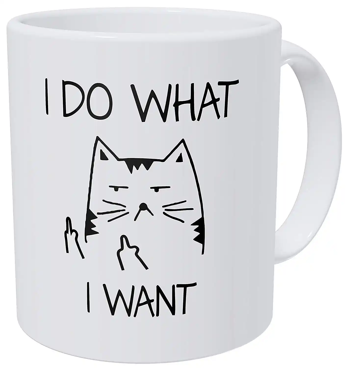 funny cat coffee mug with stirring spoon- i do what i want