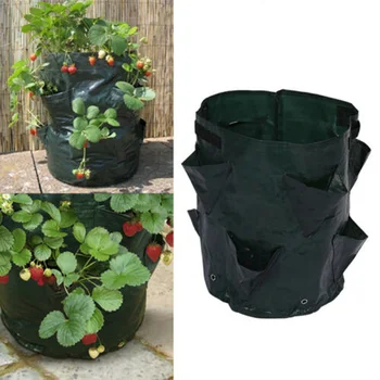 PE Flower Herb Bags Tomato Strawberry Hanging Planter Grow Bag Plant Pouch Black Anti-corrosive Lightweight
PE Flower Herb Bags Tomato Strawberry Hanging Planter Grow Bag Plant Pouch Black Anti-corrosive Lightweight