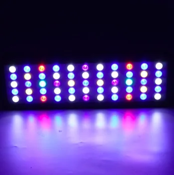Lengthen WIFI 165w marine Led aquarium light Timer Dimmable Full Spectrum led lighting acuarios for coral reef led fish tank 
Lengthen WIFI 165w marine Led aquarium light Timer Dimmable Full Spectrum led lighting acuarios for coral reef led fish tank