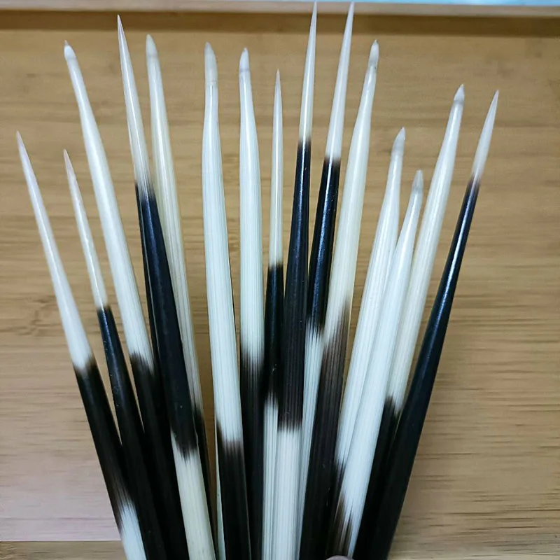 Высококачественные рыбные плавающие волосы аксессуары на палочках Quills Real Porcupine Thorn White Black DIY Quill BOYA многоцелевая оптовая продажа
Высококачественные рыбные плавающие волосы аксессуары на палочках Quills Real Porcupine Thorn White Black DIY Quill BOYA многоцелевая оптовая продажа