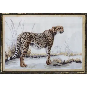 M-12 set for embroidery 61*42 cm CHM
M-12 set for embroidery 61*42 cm CHM