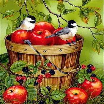 5D Diamond Animal/Bird apple Round Diamond Painting Cross Stitch kits Diamond Embroidery Patterns
5D Diamond Animal/Bird apple Round Diamond Painting Cross Stitch kits Diamond Embroidery Patterns