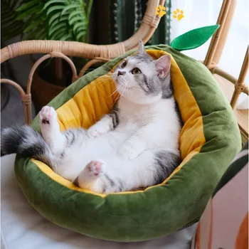 Pet Cat House for Dogs Mat Warm Bed Cute Small Cats Beds Nest for Dogs Avocado Shape Sleeping Bags Comfortable Puppy Kennel Sofa
Pet Cat House for Dogs Mat Warm Bed Cute Small Cats Beds Nest for Dogs Avocado Shape Sleeping Bags Comfortable Puppy Kennel Sofa