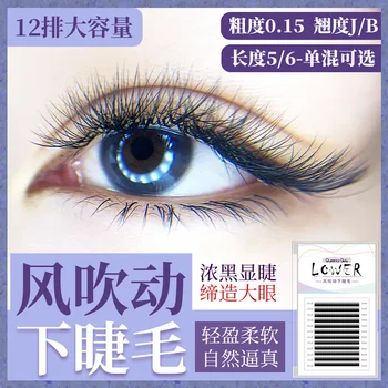 0.15 Chunky Wind Blowing in under Eyelash Soft Double Maojian Grafting under Eyelash Densely Flat Hair Planting Eyelash
0.15 Chunky Wind Blowing in under Eyelash Soft Double Maojian Grafting under Eyelash Densely Flat Hair Planting Eyelash