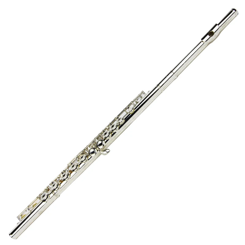 Best quality new arrival flute 212DR play music instrument 16 closed hole E key music C tune flute With case
Best quality new arrival flute 212DR play music instrument 16 closed hole E key music C tune flute With case