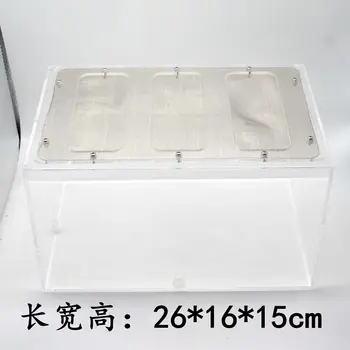 Big Insects Box Ants Box Acrylic Ants Farm Ants Nest Sticky Box 26*16*15cm Can Be Used For Feeding Area Or Diy
Big Insects Box Ants Box Acrylic Ants Farm Ants Nest Sticky Box 26*16*15cm Can Be Used For Feeding Area Or Diy