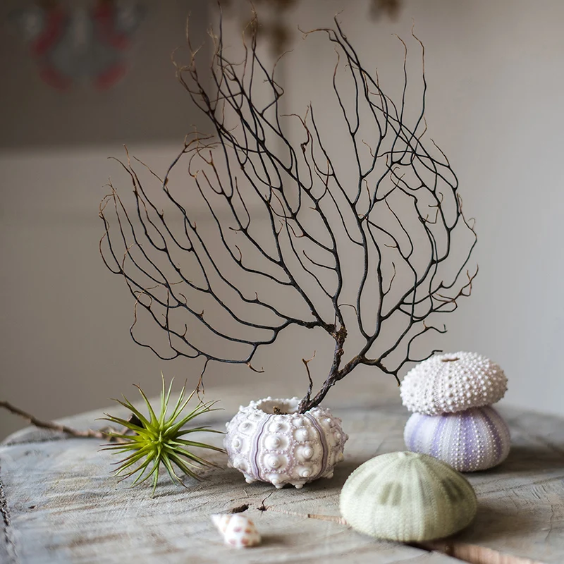 Tree Shape Coral Tree Aquarium Decoration Fish Tank Landscaping Decor Sea Iron Tree Miniature Figurines Aquarium Decor Plants
Tree Shape Coral Tree Aquarium Decoration Fish Tank Landscaping Decor Sea Iron Tree Miniature Figurines Aquarium Decor Plants