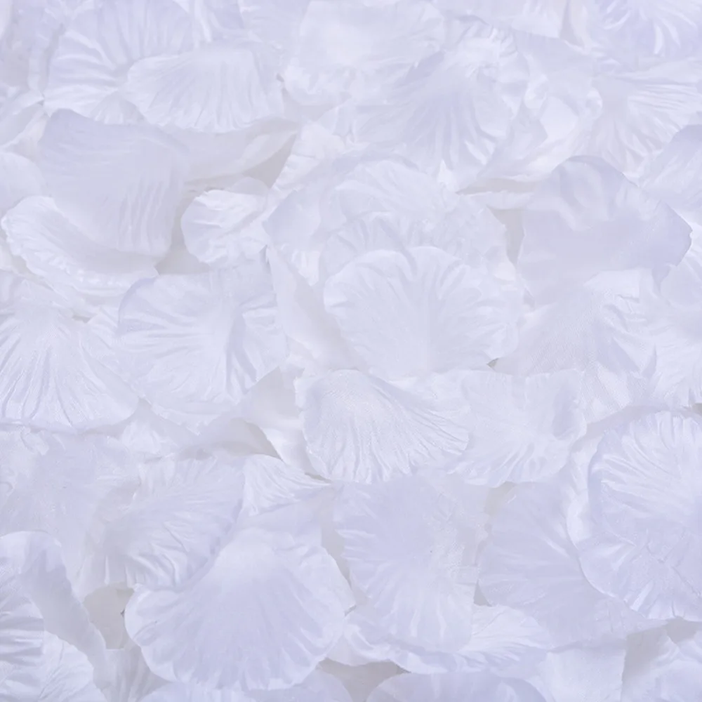 307541_no-logo_307541-2-04-g