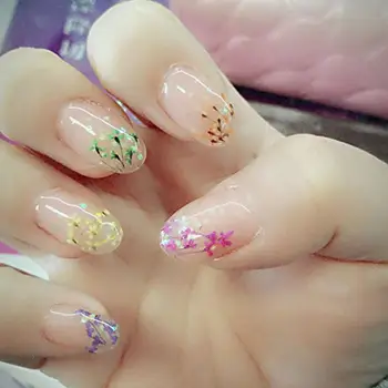 12 Colors Rainbow Nail Art Real Natural Plant Petal Flower Dried Tip For UV Hot Gel Nail Dry Salon Decorations Effect Selli Y6Q8 
12 Colors Rainbow Nail Art Real Natural Plant Petal Flower Dried Tip For UV Hot Gel Nail Dry Salon Decorations Effect Selli Y6Q8