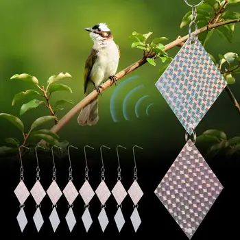 SOLEDI 16PCS/Set Creative Bird Decoy Outdoors Scarecrow Tree Realistic Bird Scare Decor Hunting PET Garden Pest Crops From
SOLEDI 16PCS/Set Creative Bird Decoy Outdoors Scarecrow Tree Realistic Bird Scare Decor Hunting PET Garden Pest Crops From