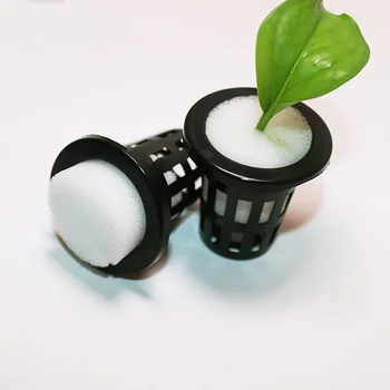 100pcs Hydroponic Seed Nursery Plant Pot Sponge Water Cultivation Tray Plant Seed Sponge Small Size Seed Cultivation Sponge
100pcs Hydroponic Seed Nursery Plant Pot Sponge Water Cultivation Tray Plant Seed Sponge Small Size Seed Cultivation Sponge