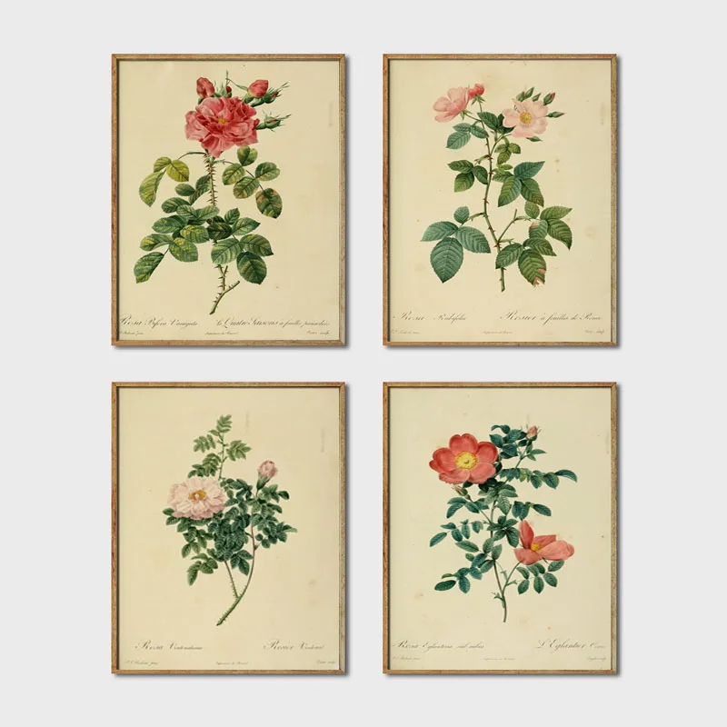 Ботанический плакат винтажные настенные картины с цветами растениями старинная