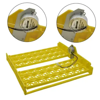 48 Egg Tray Automatic Incubator Mini incubator Household Poultry Bird Duck Eggs Holder Farm poultry Hatching device 110/220V C42
48 Egg Tray Automatic Incubator Mini incubator Household Poultry Bird Duck Eggs Holder Farm poultry Hatching device 110/220V C42