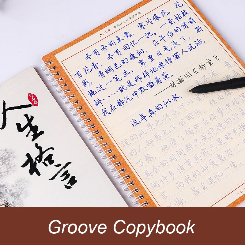 10pcs LiuPinTang Hot Chinese Characters Reusable Groove Calligraphy Copybook Learn chinese Ancient pen Regular script for adult
10pcs LiuPinTang Hot Chinese Characters Reusable Groove Calligraphy Copybook Learn chinese Ancient pen Regular script for adult