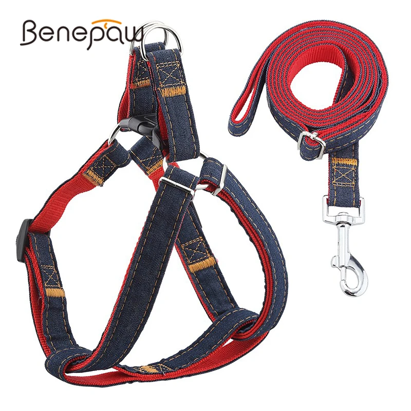 Benepaw Stylish Soft Small Medium Dog Harness Leash Set Adjustable Durable Pet Puppy Harness Vest For Chihuahua Pitbull
Benepaw Stylish Soft Small Medium Dog Harness Leash Set Adjustable Durable Pet Puppy Harness Vest For Chihuahua Pitbull