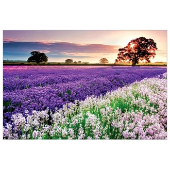 1000 Piece Large DIY Jigsaw Puzzle Scenery Landscapes 70X50 CM Decompress Toys For Children Montessori Hand Grab Board Early Ed
1000 Piece Large DIY Jigsaw Puzzle Scenery Landscapes 70X50 CM Decompress Toys For Children Montessori Hand Grab Board Early Ed