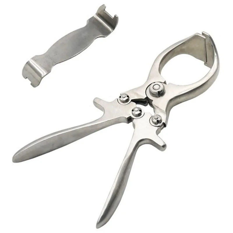 2 Pcs Livestock Tools Stainless Steel Without Blood Pig Sheep Castration Clamp Castration Tool Castration Forceps Farm Animals
2 Pcs Livestock Tools Stainless Steel Without Blood Pig Sheep Castration Clamp Castration Tool Castration Forceps Farm Animals