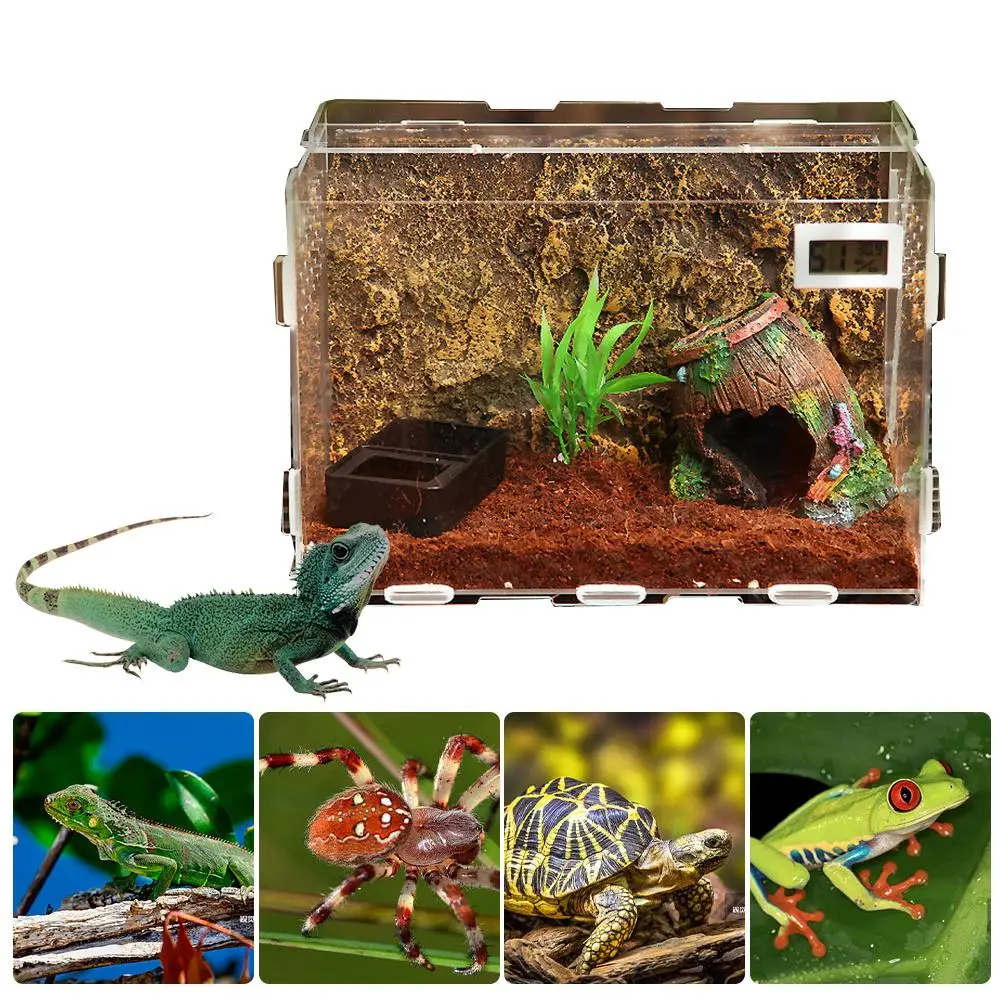 Reptile Breeding Box Acrylic Transparent Sliding Cover Reptile Tank Insect Spiders Tortoise Lizard Feeding Box Terrarium
Reptile Breeding Box Acrylic Transparent Sliding Cover Reptile Tank Insect Spiders Tortoise Lizard Feeding Box Terrarium