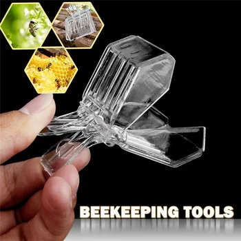 2Pcs Bee Queen Clip Plastic Beekeeping Queen Cage Catcher Beekeeper Tool Colorless Clips Plastic Bee Clip
2Pcs Bee Queen Clip Plastic Beekeeping Queen Cage Catcher Beekeeper Tool Colorless Clips Plastic Bee Clip
