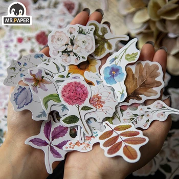 Mr.paper 8 Designs 30Pcs Dried Flowers Deco Stickers Scrapbooking Styling Bullet Journal Toy Deco Album DIY Stationery Stickers
Mr.paper 8 Designs 30Pcs Dried Flowers Deco Stickers Scrapbooking Styling Bullet Journal Toy Deco Album DIY Stationery Stickers