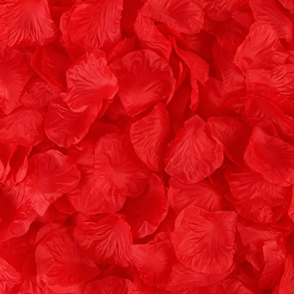 307541_no-logo_307541-2-01-g