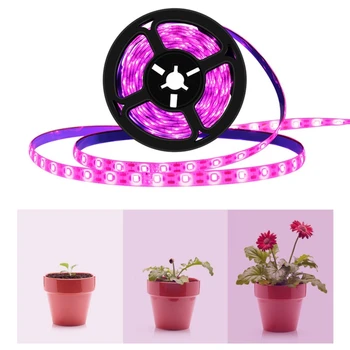 Indoor LED Plants Grow Light Strips Waterproof Full Spectrum Planting Fill Lamp Spotlight Reflector Temperature-Humidity
Indoor LED Plants Grow Light Strips Waterproof Full Spectrum Planting Fill Lamp Spotlight Reflector Temperature-Humidity